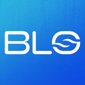 BLO Car Dryer
